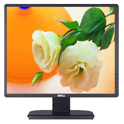 Màn hình Dell 19 inch Dell PRO P1917S vuông