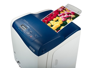 may in fuji xerox docuprint cp305d network duplex laser mau