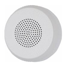 Loa âm trần YunYang YSP-616B